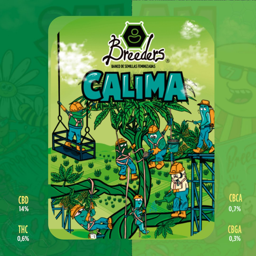 CALIMA-Carrusel_01
